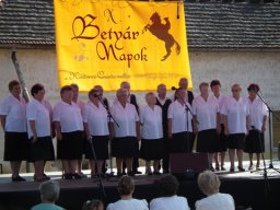 2010 - Styevák János képei 