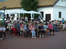 2010 - Styevák János képei 